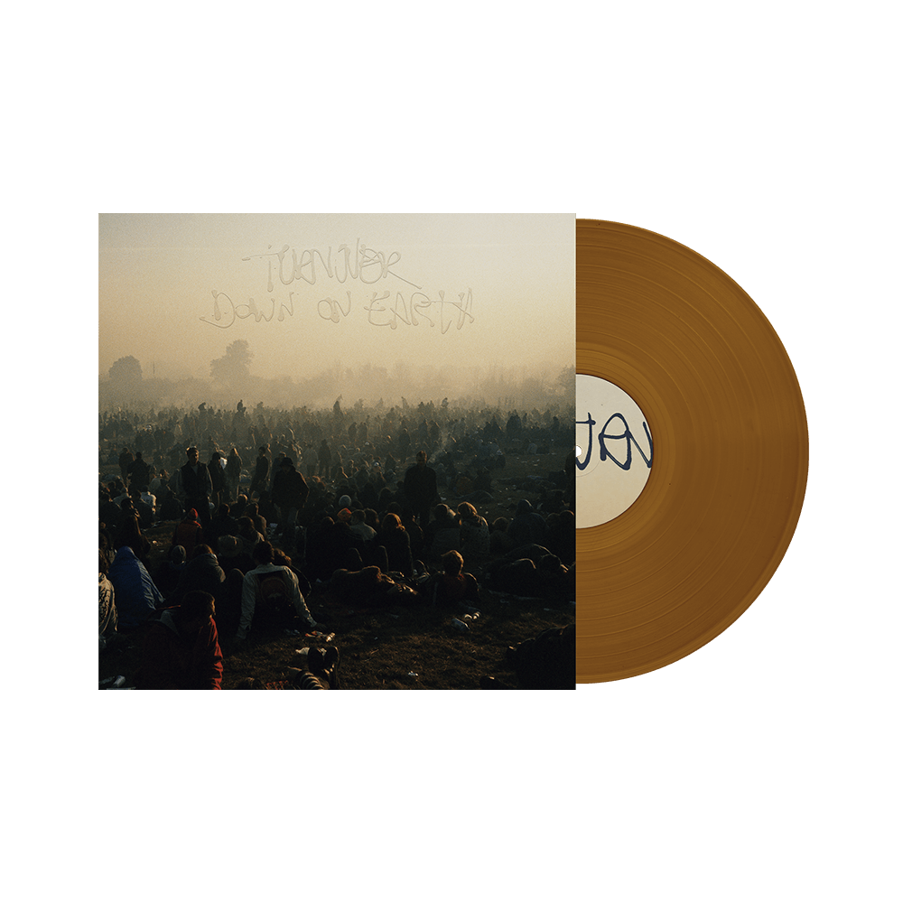 Down On Earth 12" Vinyl - Bronze image 0
